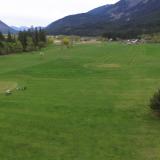 Gumboot Picture 3